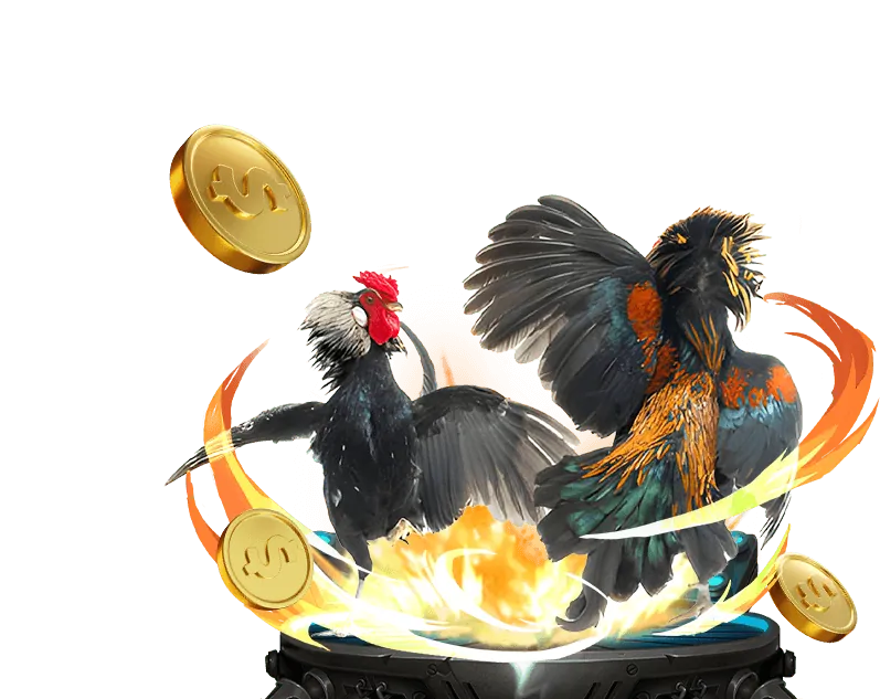 Văn hóa đá gà truyền thống Việt Nam